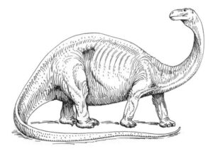 leviathan dinosaur bible